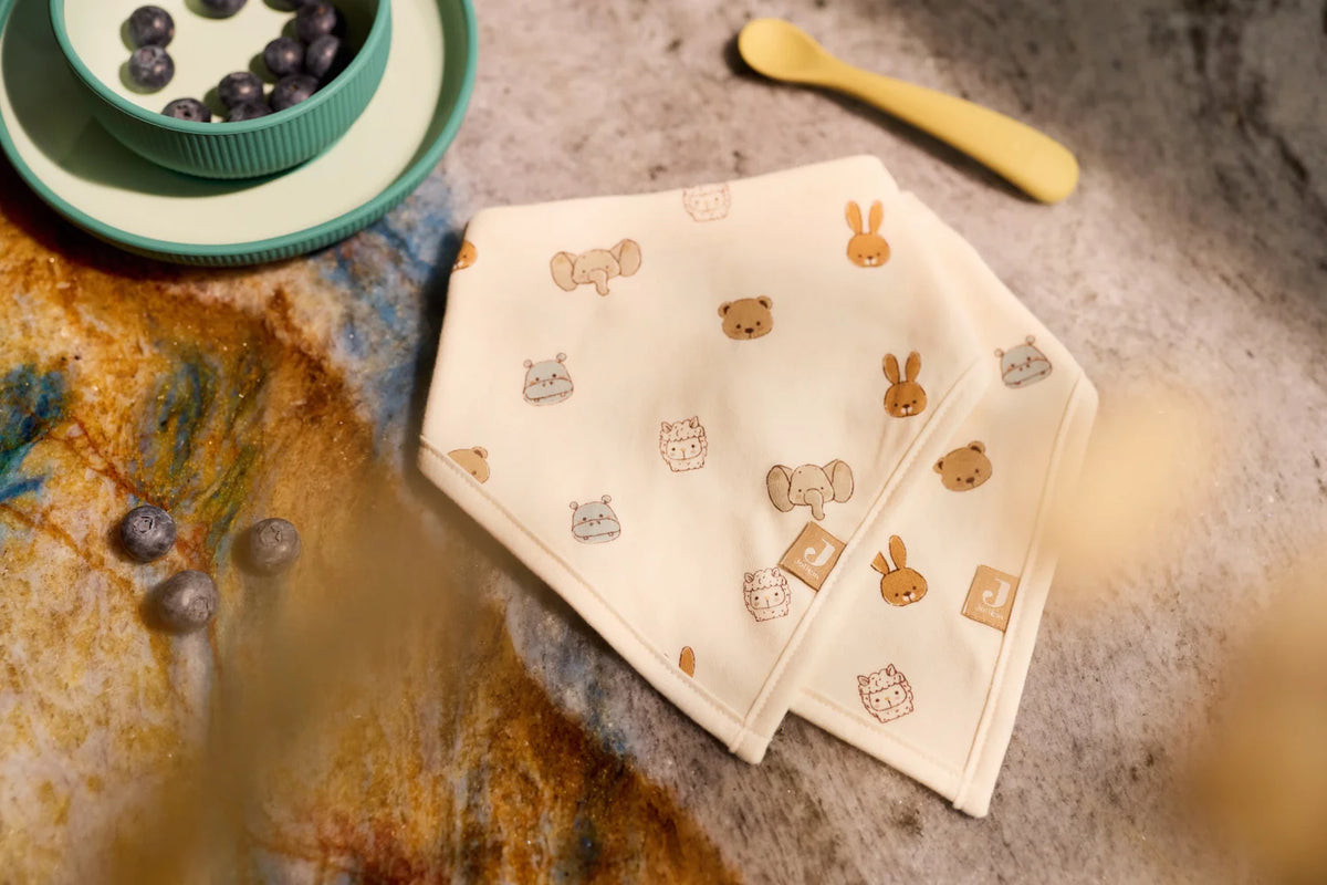 Lätzchen bandana-Jollies- 2 Stück-Jollein