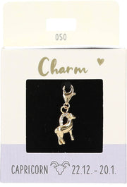 Ketten/-Armbänder Charm Depesche Motiv Sternzeichen Steinbock