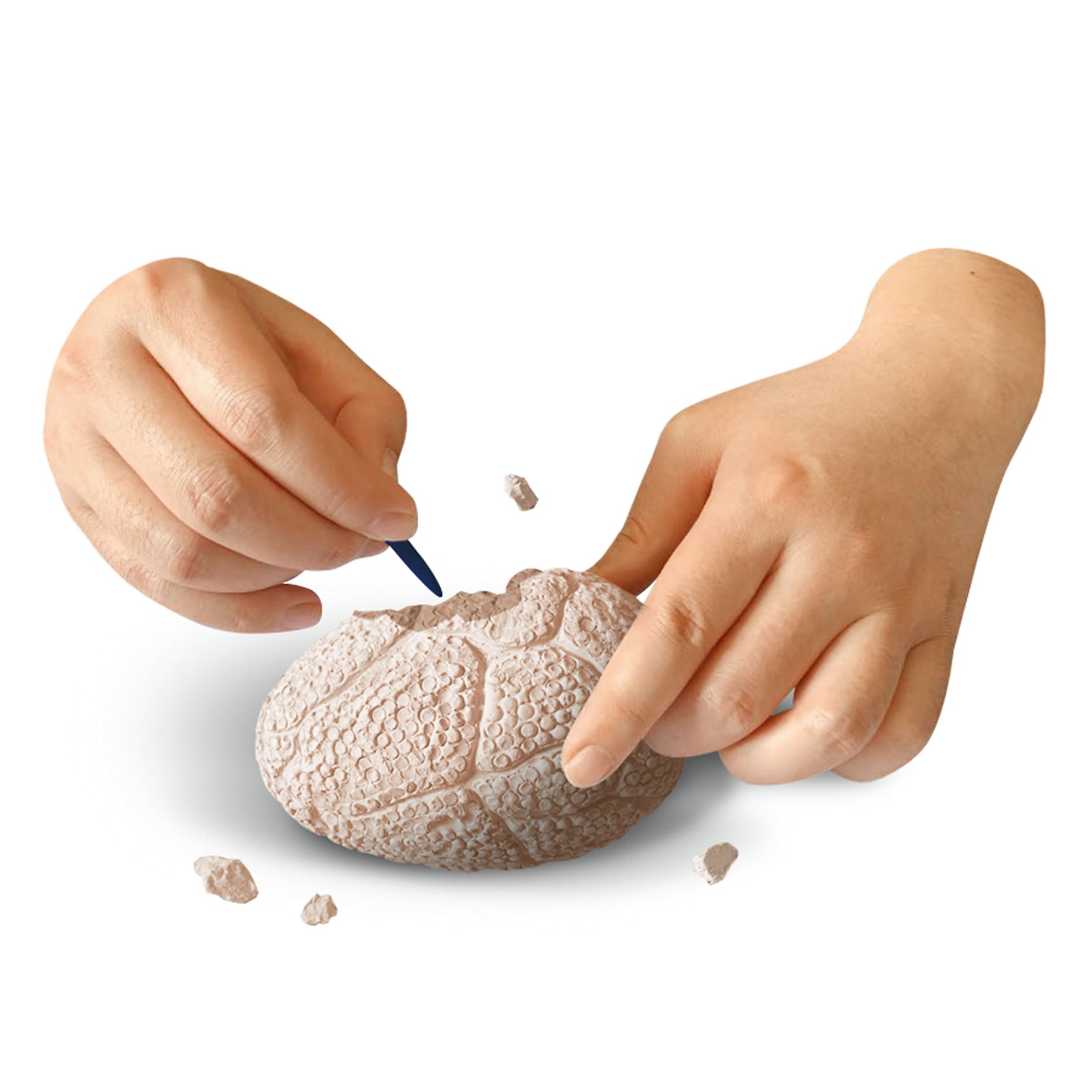 Dino World Explorer Set von Depesche