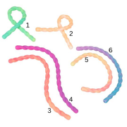 Ylvi Stretchy Depesche