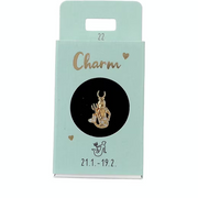 Ohrring-Charm Depesche Charm Sternzeichen Wassermann